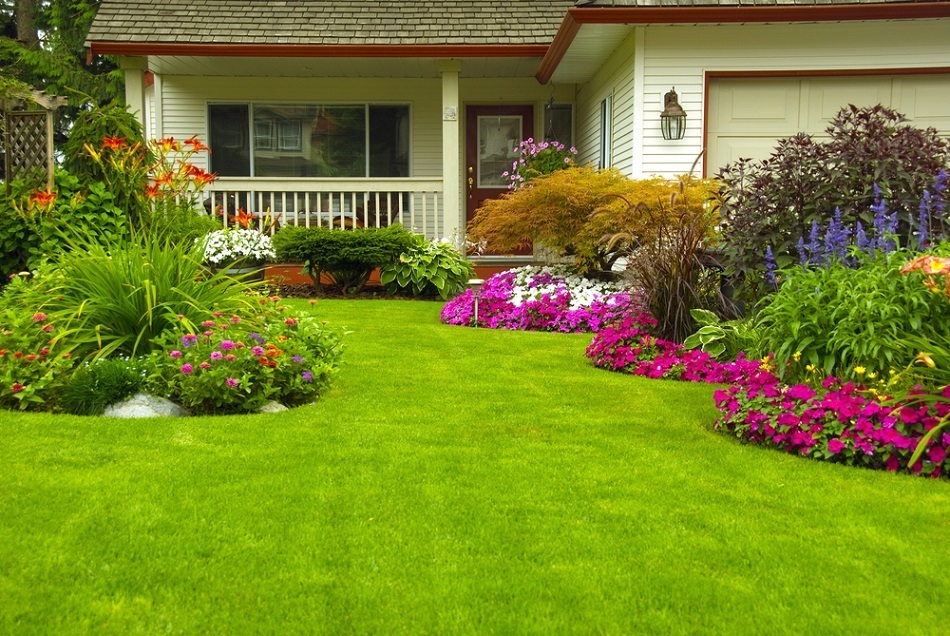 Want a Green Lawn This Spring? What You Need to Do Now