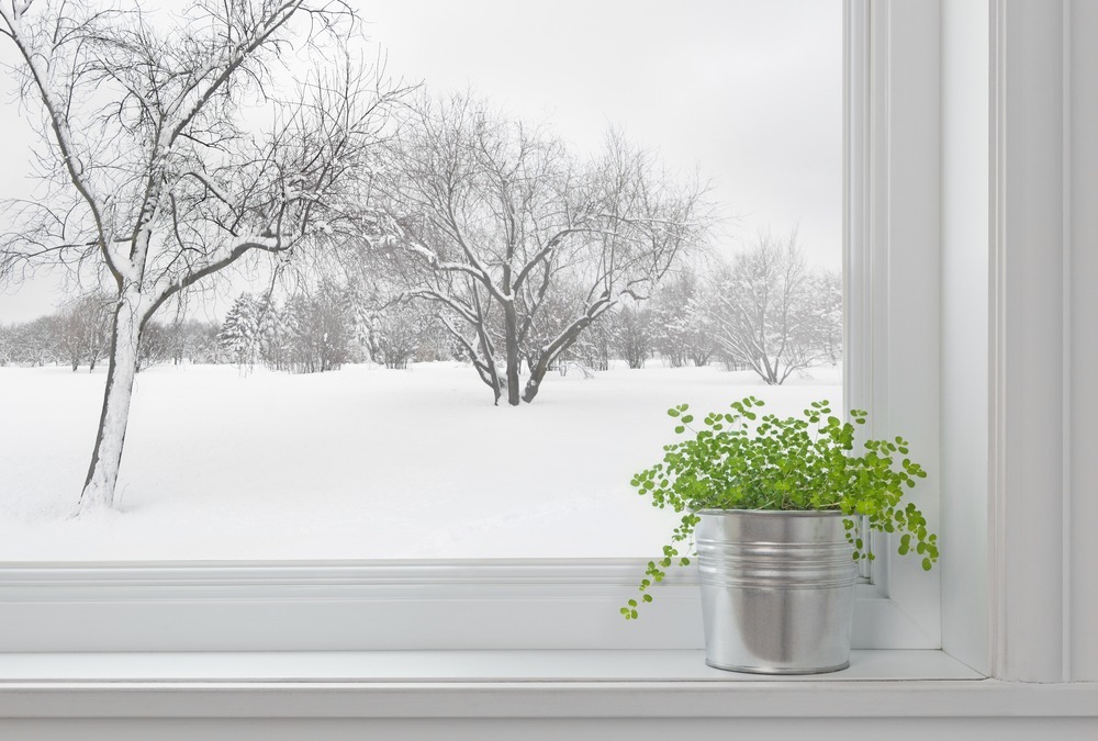 Wallside Windows Advice for Winter