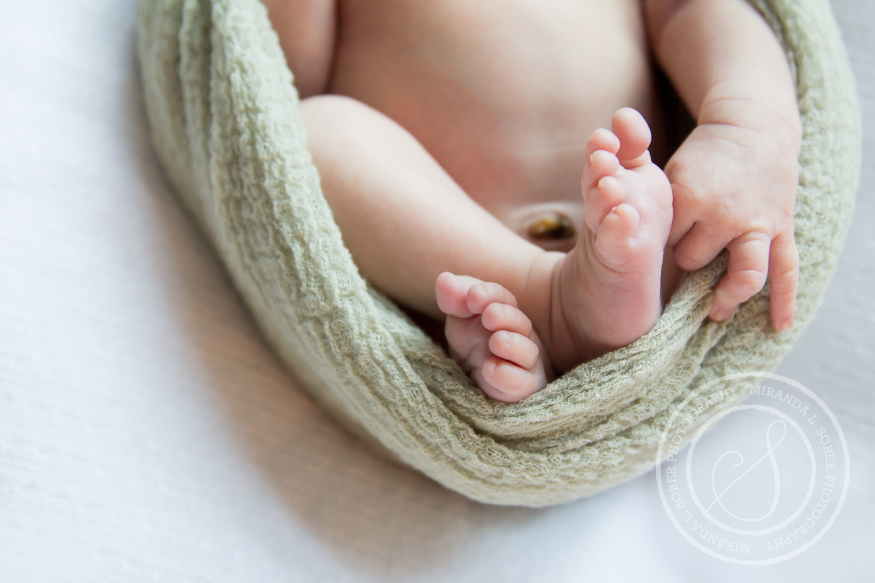 fort-collins-newborn-baby-photography