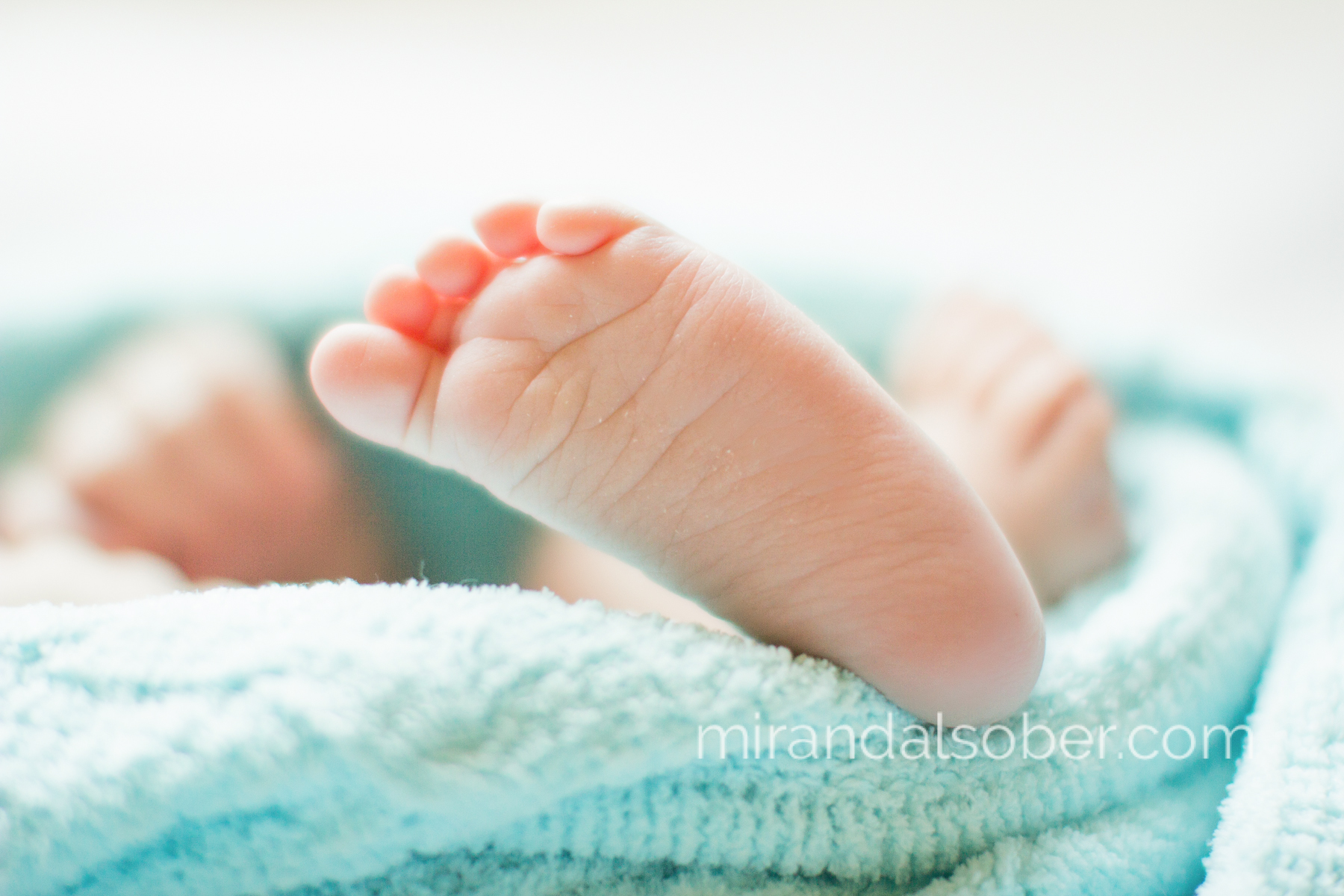 in-home newborn photos, Miranda L. Sober Photography, Fort Collins