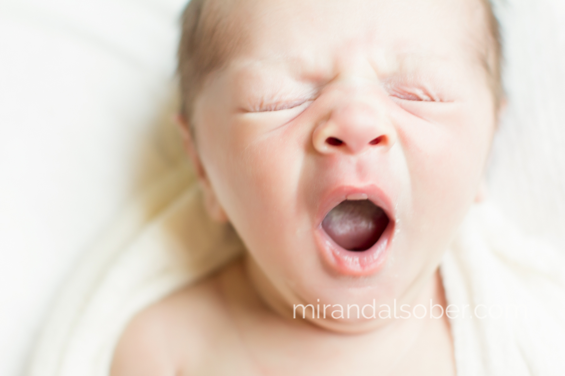 in-home newborn photos, Miranda L. Sober Photography, Fort Collins