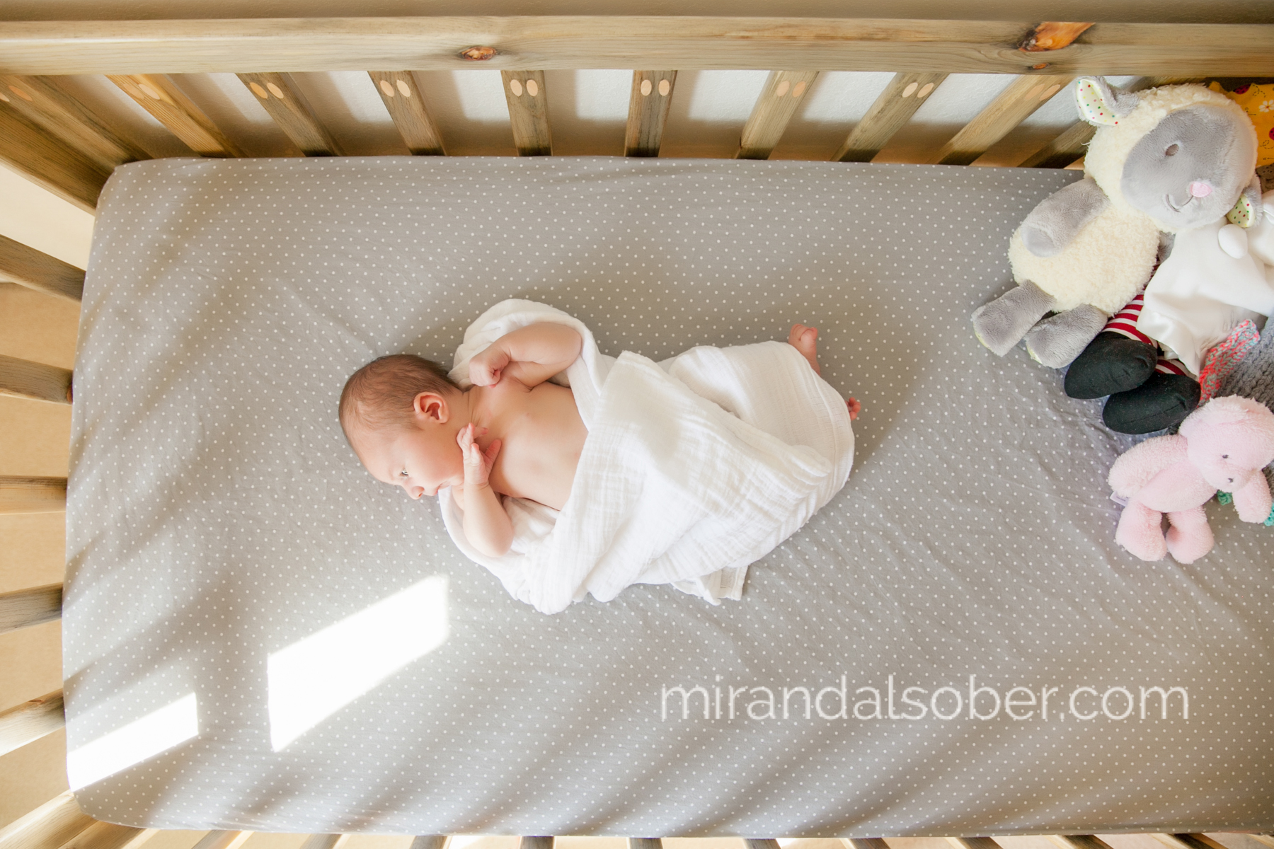 Fort Collins lifestyle newborn photographer, Miranda L. Sober