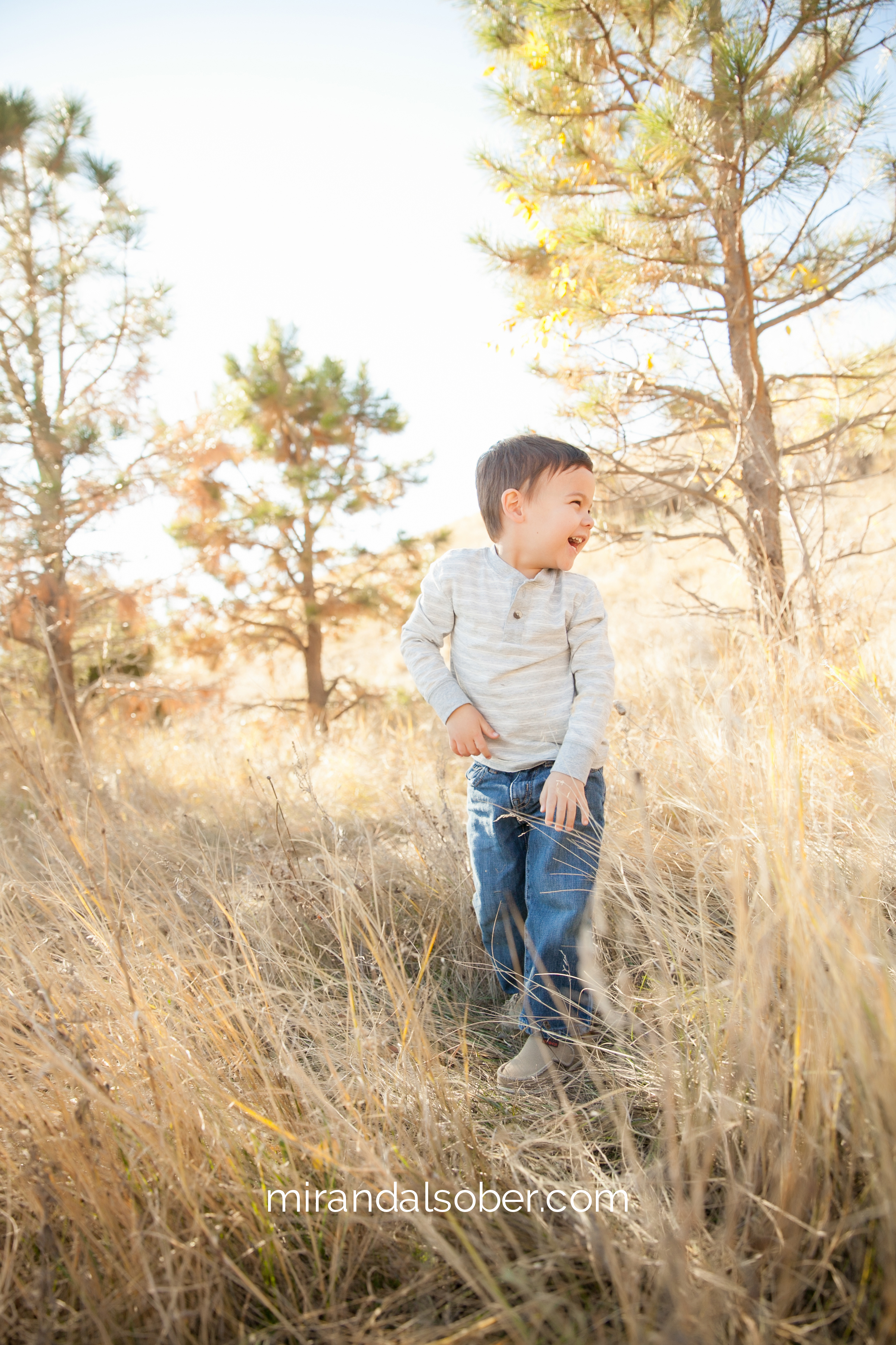 fort collins lifestyle family photography , Miranda L. Sober Photography