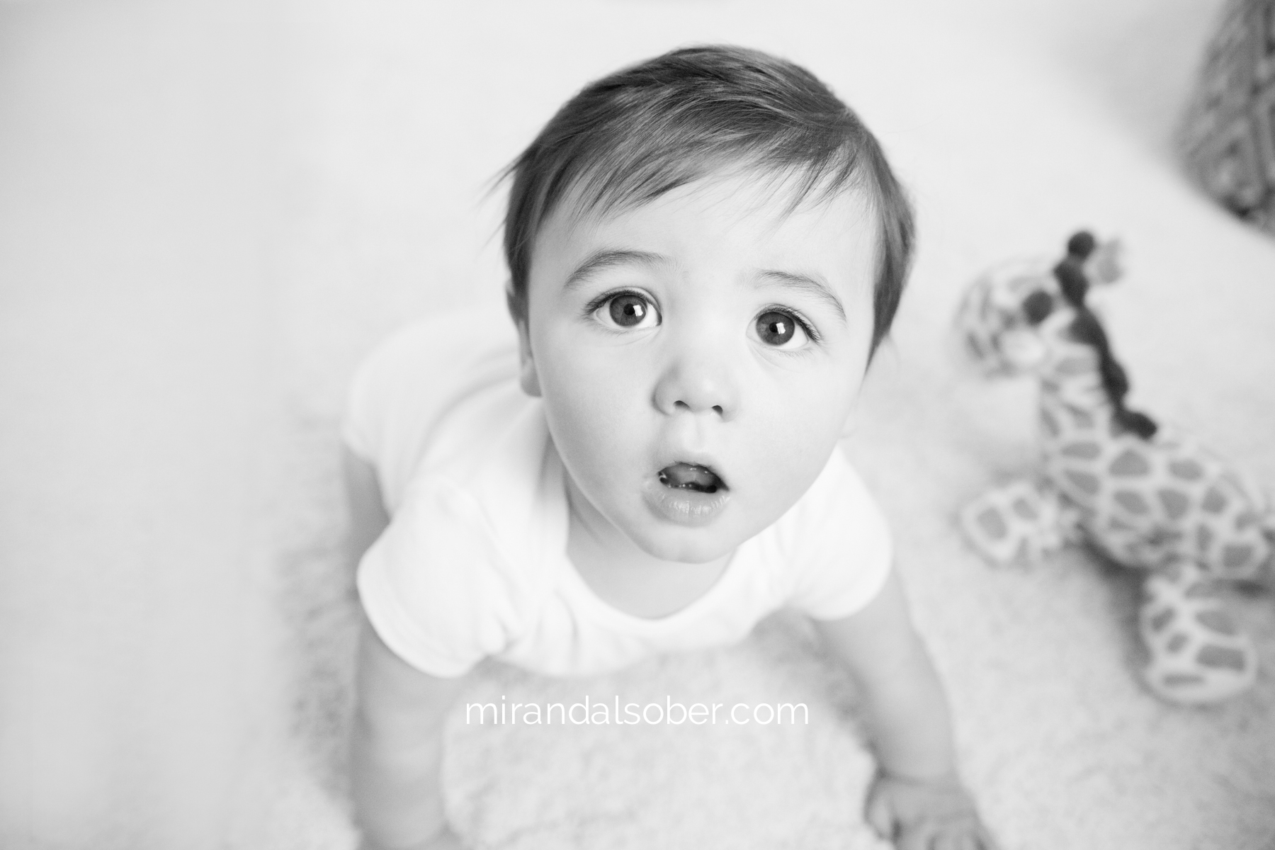 Best baby photographer Fort Collins, Miranda L. Sober Photography