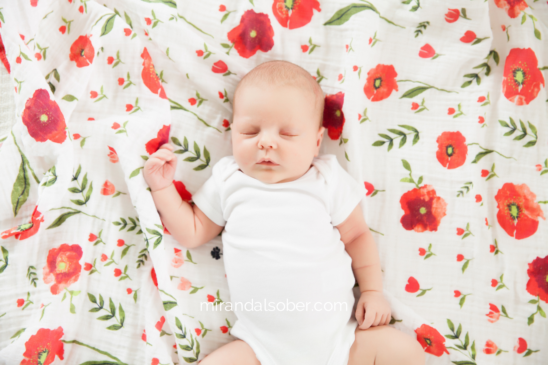 Newborn Photographers Fort Collins, Miranda L. Sober Photography, lifestyle baby photography