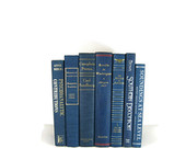 Vintage Blue Shades Decorative Books , Photo Props , Vintage Wedding Decor