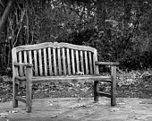 Landscape Photography - Weathered Bench - 8x12  Fine Art Photo - Park Bench, Fine Art Photograph, Black and White Photo, Lonely Bench