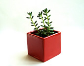 Little Modern Glossy Red Ceramic Cube Planter, Modern Red Vase, Red Ceramic Vase, Red Modern Planter, Valentine's Day Decor (Without Plants)