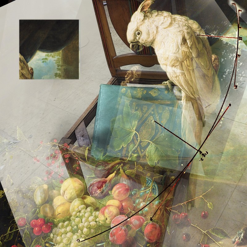 sketch for still life with chair, Utrecht cockatoo and fruit