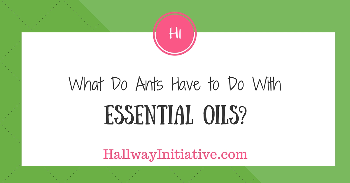 What do ants have to do with essential oils?