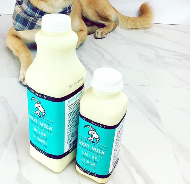 Deep-dive: Raw Goat Milk For Dogs — The Bones & Co. 