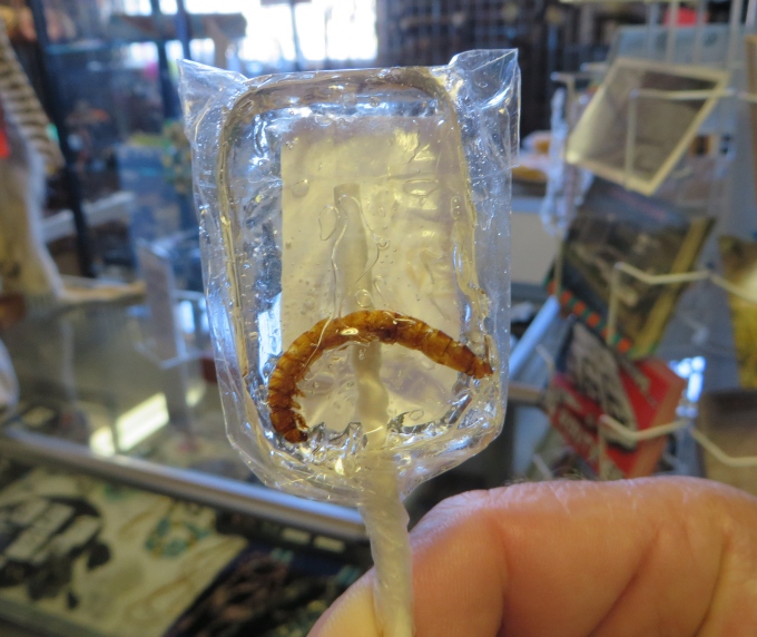 tequila pop with worm in dolan springs
