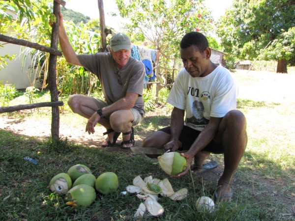 husking coconuts