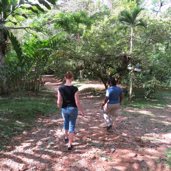 walking discover trail at asa wright nature center
