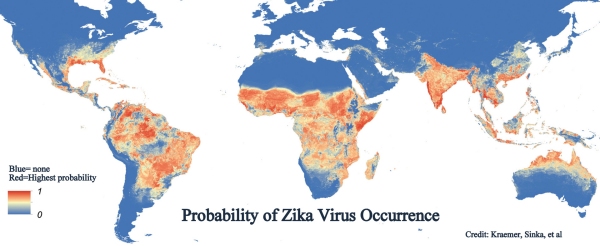 probability of zika occurance
