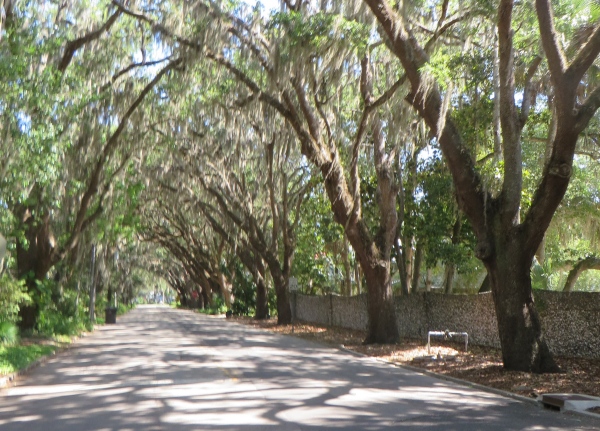 magnolia street, st. augustine, florida