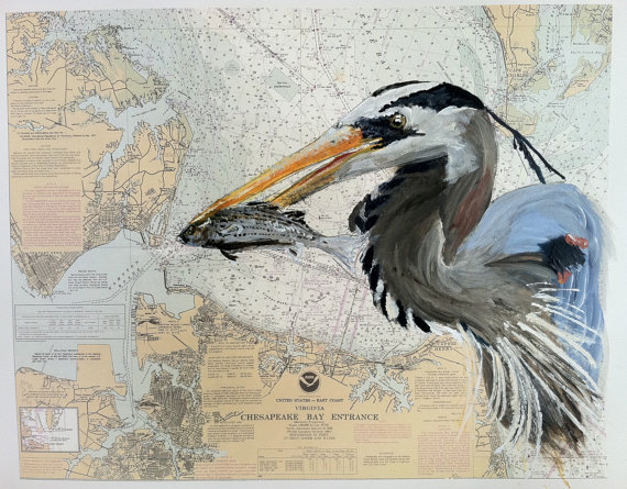blue heron poster in chesapeake