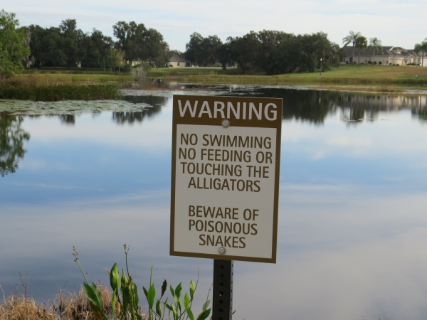 gator warning sign in florida