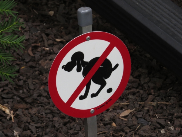 no dog poop