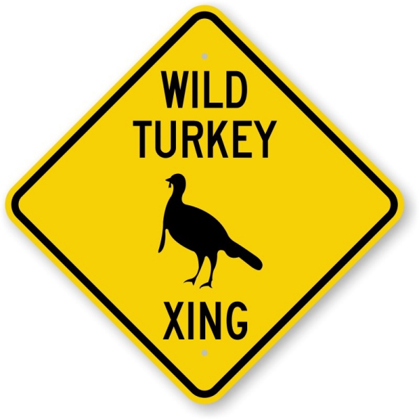 turkey crossing