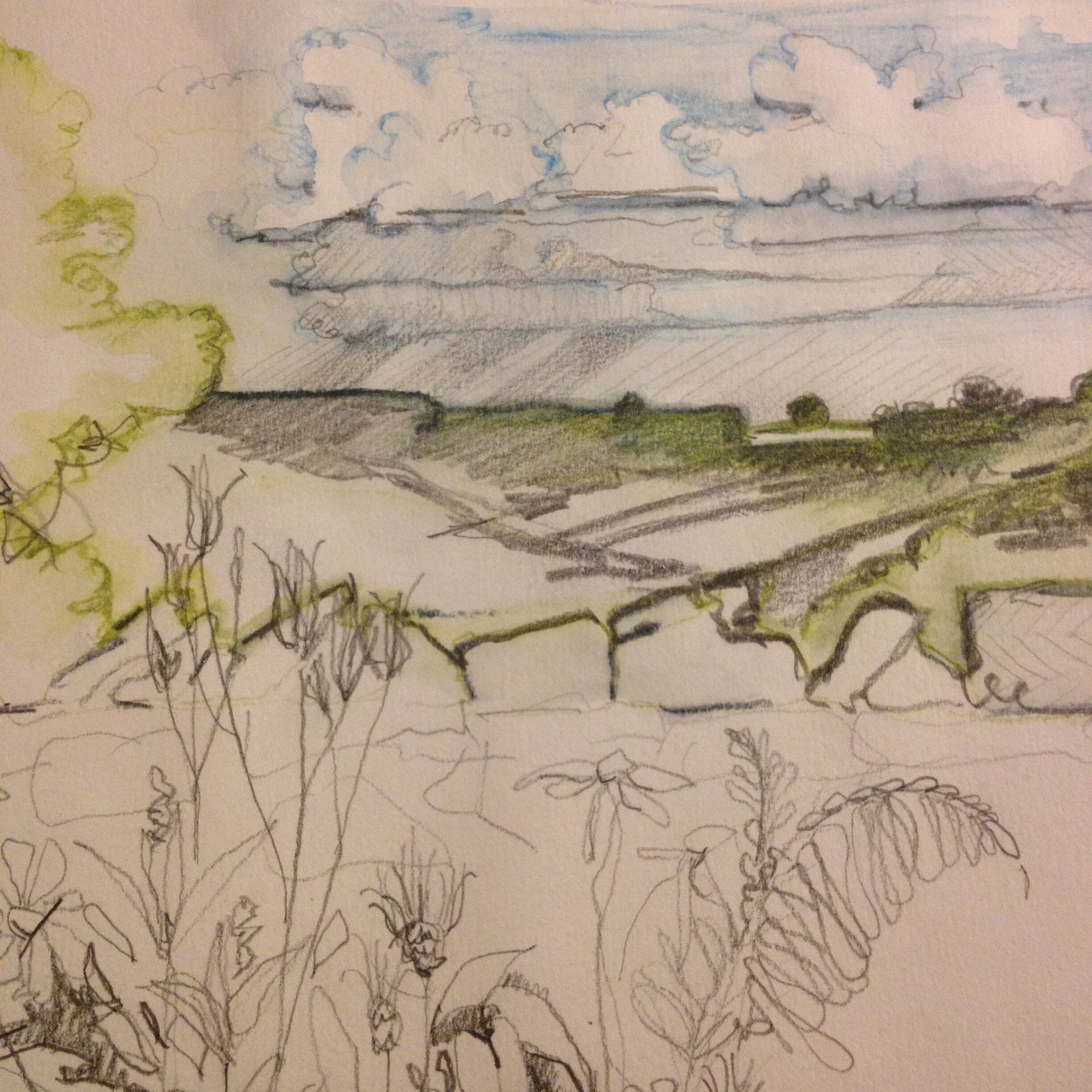View from Snilesworth North York Moors. Kim Tillyer sketch