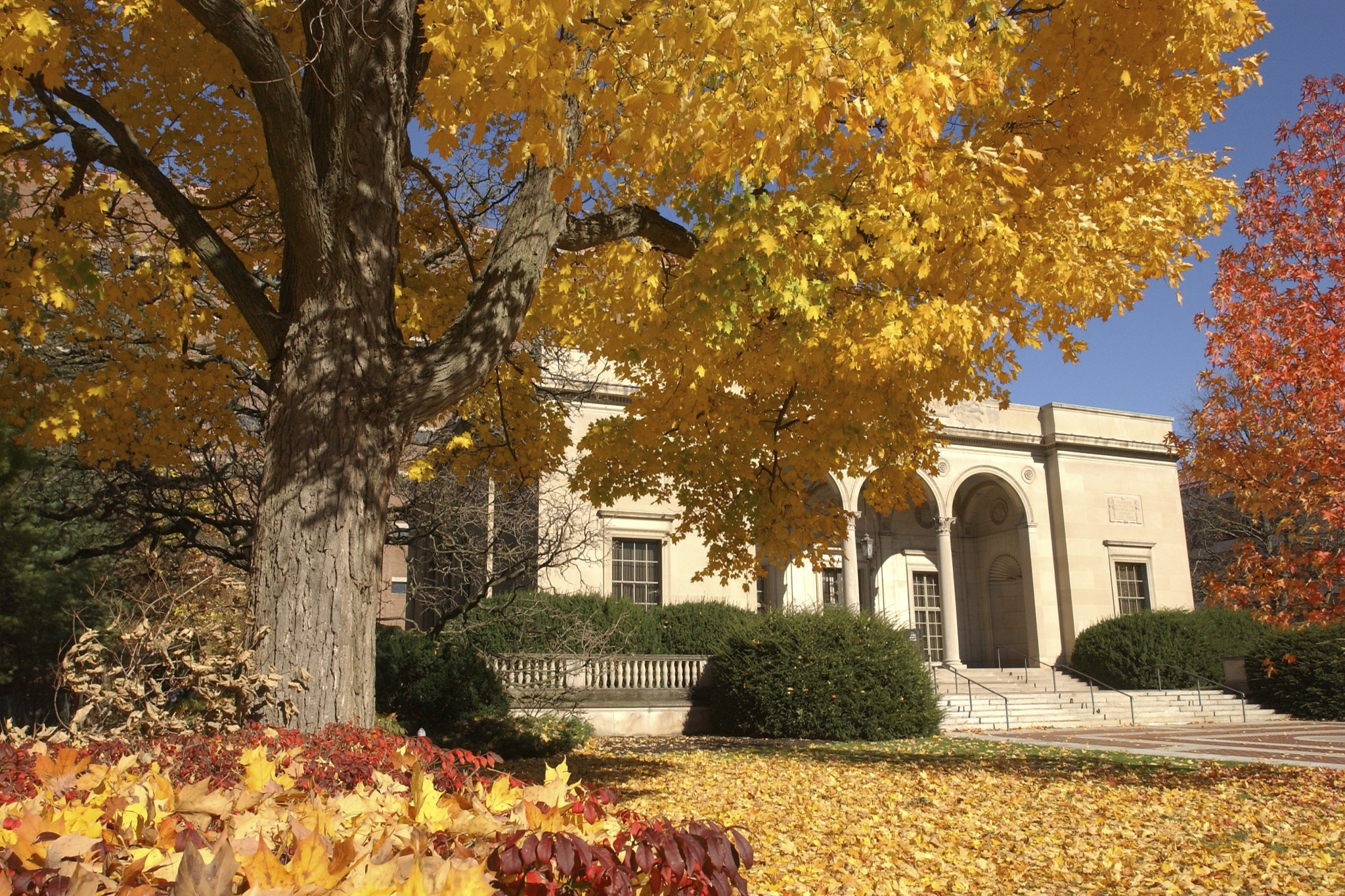 clements-library-fall.jpg
