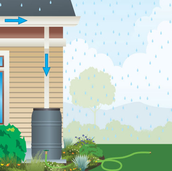 resolve-to-save-your-rainwater-new-rebates-for-rain-barrels-and-more