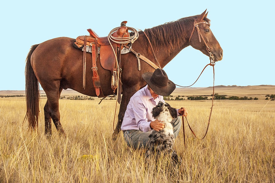 8 Christmas Gift Ideas For Ranch Women Arable