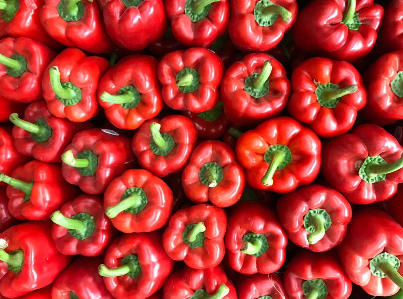 Red Bell Peppers : 3ct ORGANIC — ETC Produce & Provisions