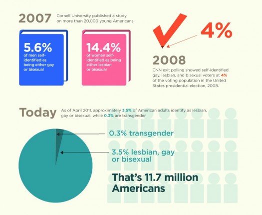 Source: http://www.infographicpins.com/lifestyle-infographics/lgbt-demographics-of-the-united-states
