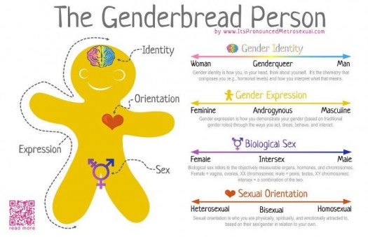 genderbread-infographic