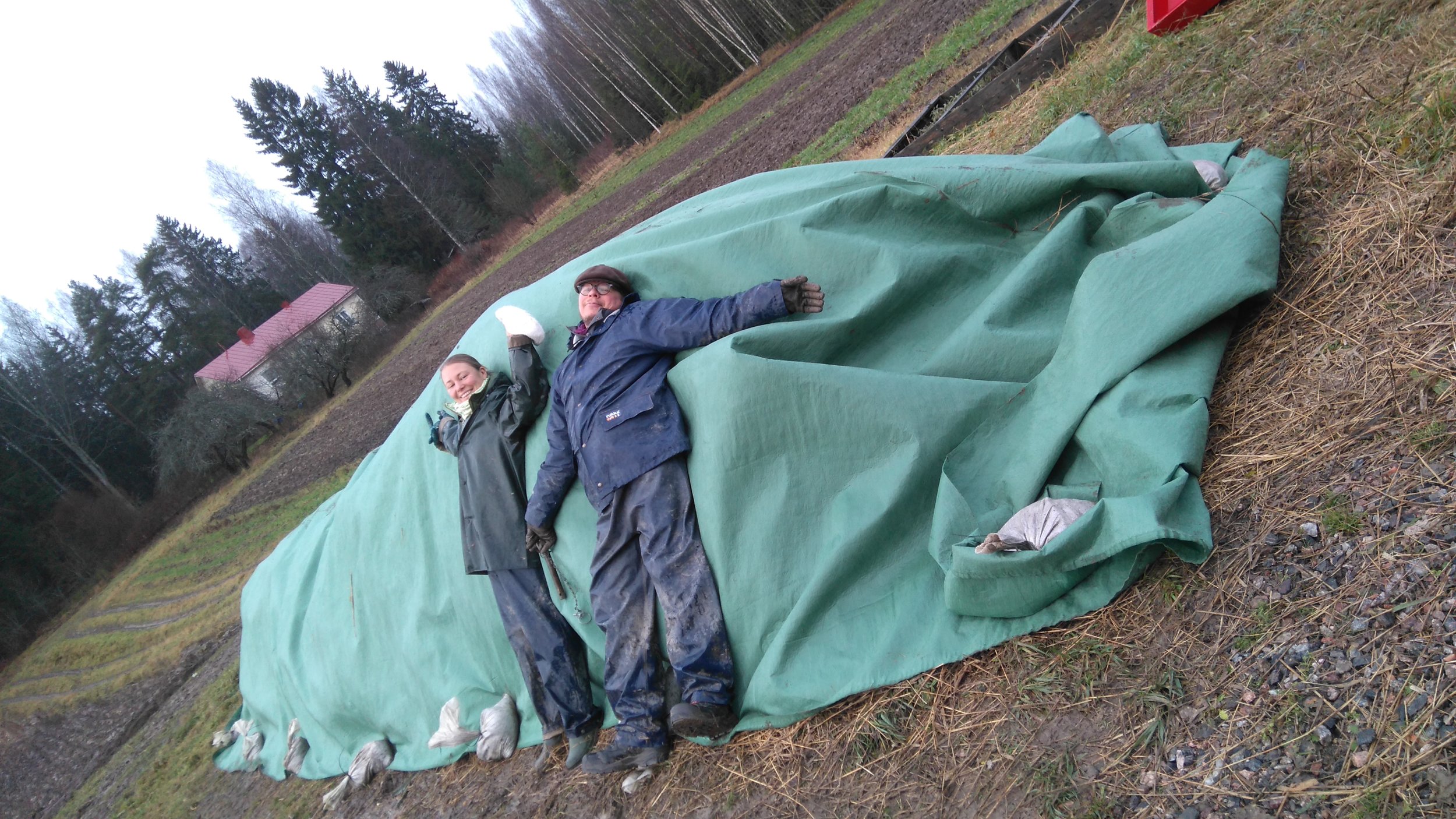 Heidi & Pentti & talveksi peitetty komposti