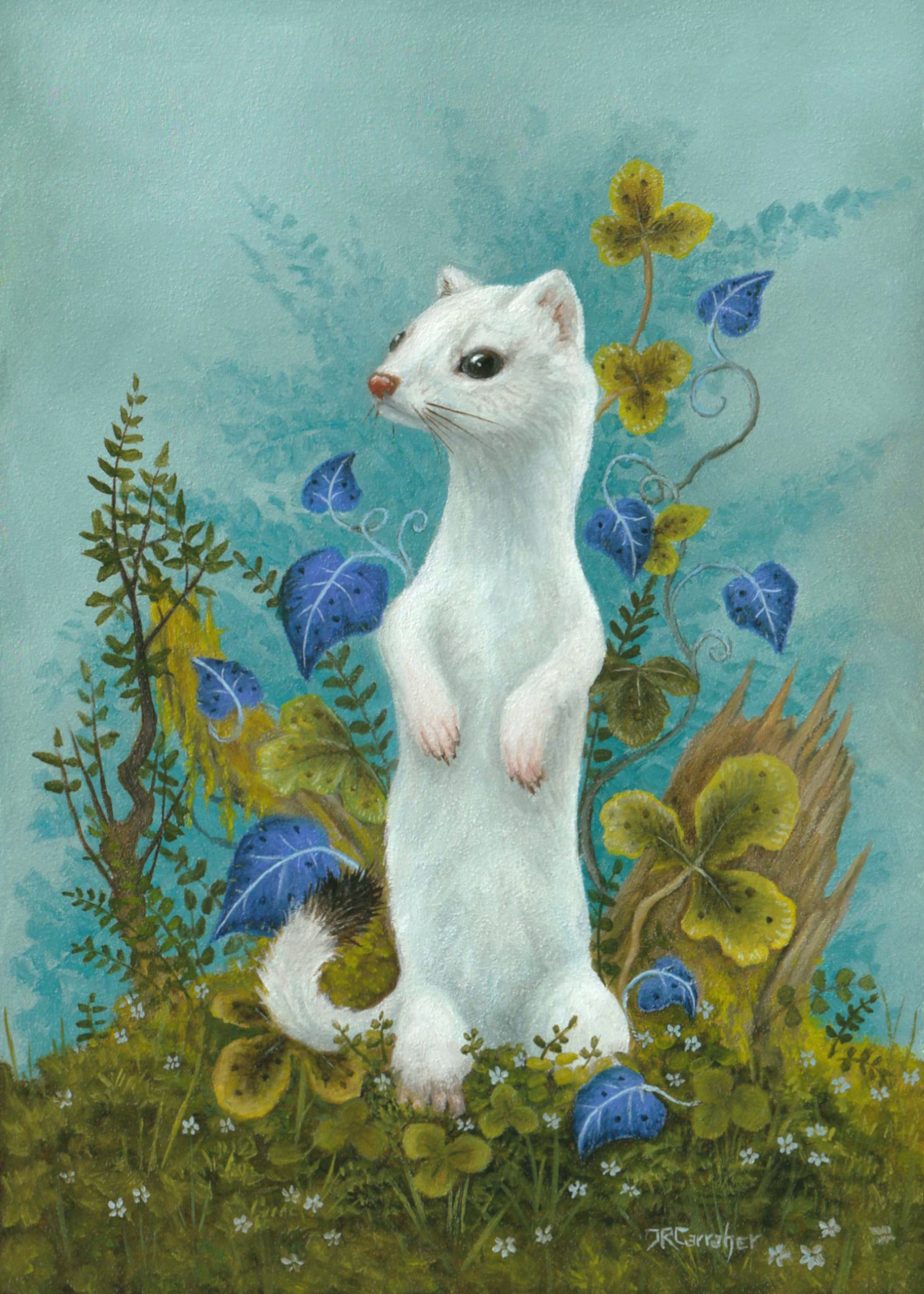 Faunae - White Weasel - Reproduction — Jon Carraher