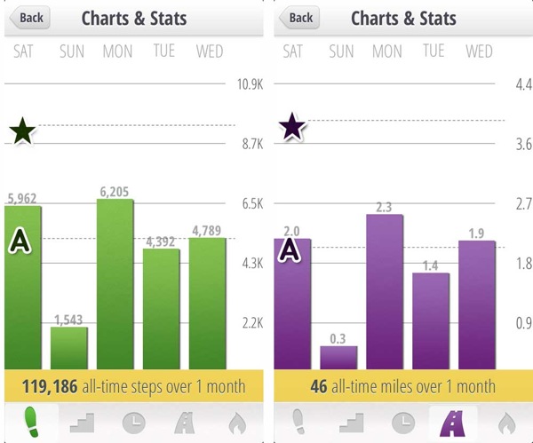Striip App Charts and Stats