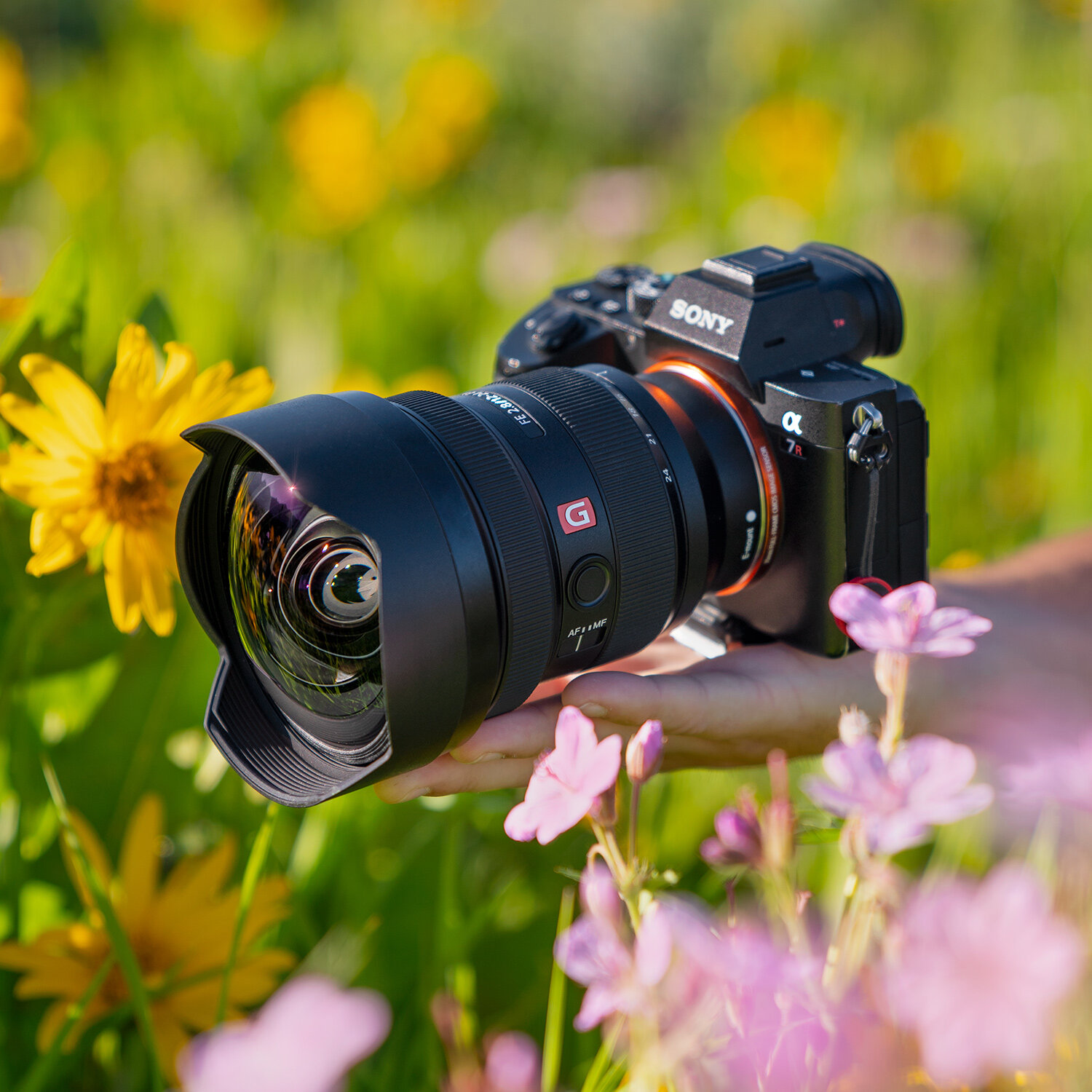 Sony FE 12-24mm f/2.8 G Master Lens Review — Autumn Schrock