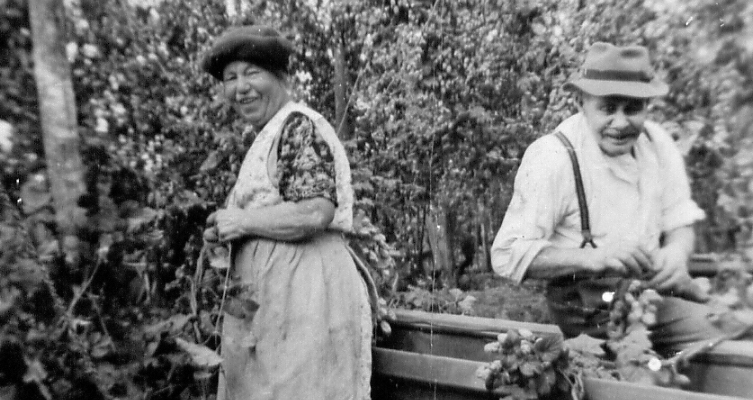 Middle aged woman and a man in a field, laughing