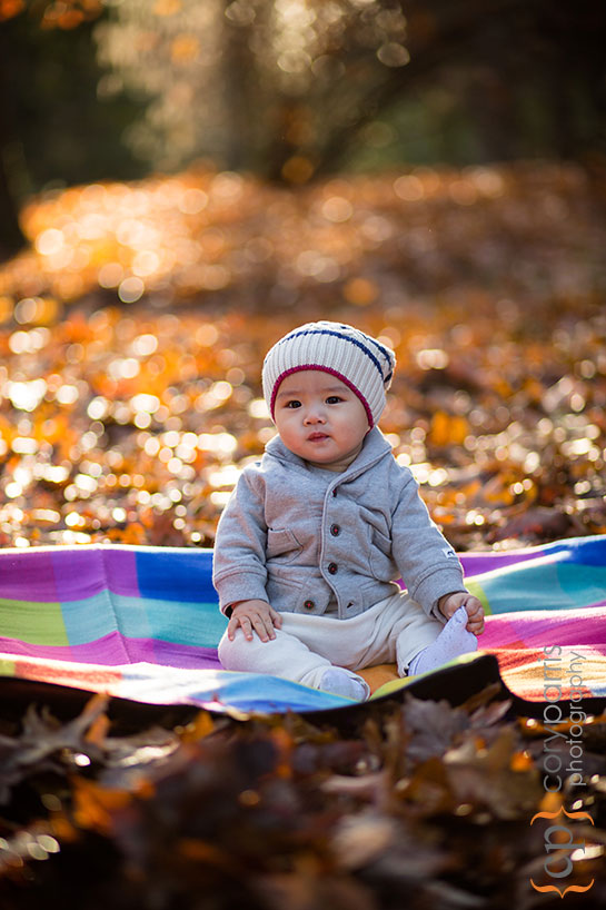 baby portrait in the fall leaves