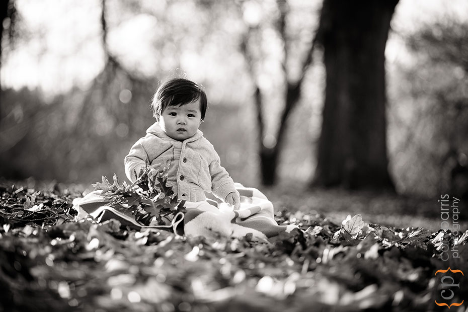 baby portrait at the washington park arboretum