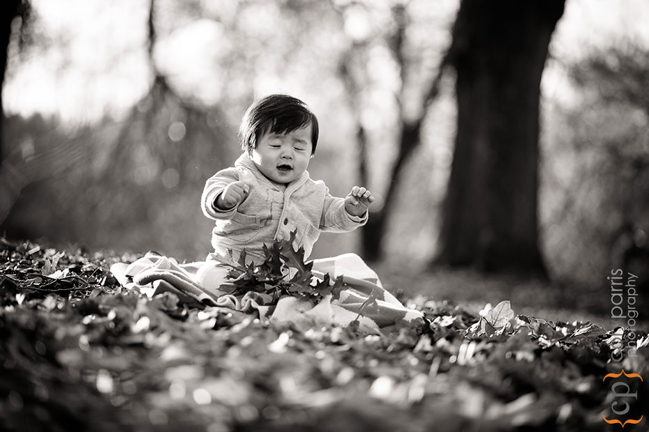 baby portrait at the washington park arboretum
