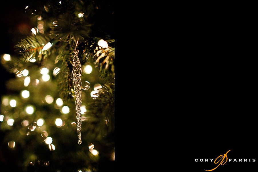holiday ornaments with a 24 1.4 canon lens by seattle wedding photographer cory parris