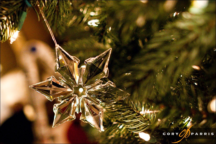 holiday star ornament by seattle wedding photographer cory parris