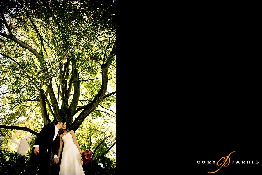 couple kissing beneath a tree by seattle wedding photographer cory parris