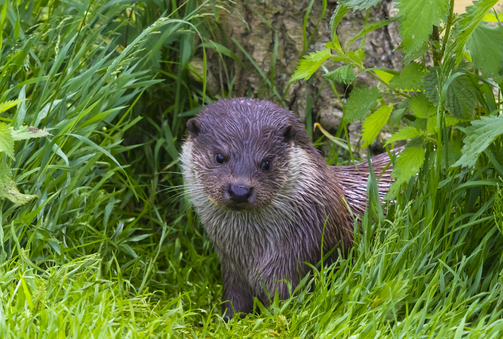 Otter Gives the Paparazzi the "Are You Kidding Me?" Look