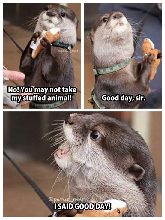 Otter Doesn't Want to Share His Stuffed Otter 1