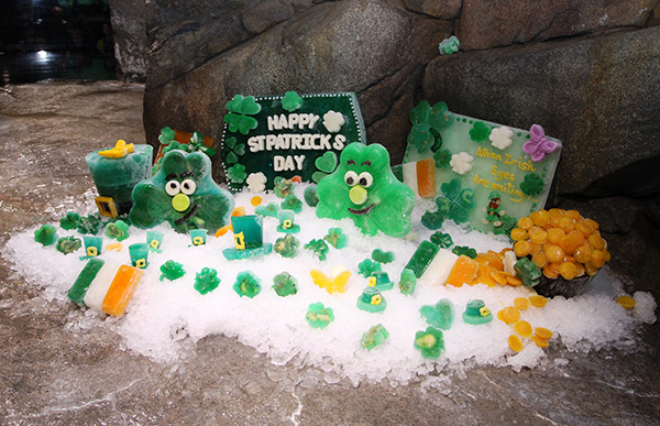 Sea Otters Get into the St. Patrick's Day Spirit 4