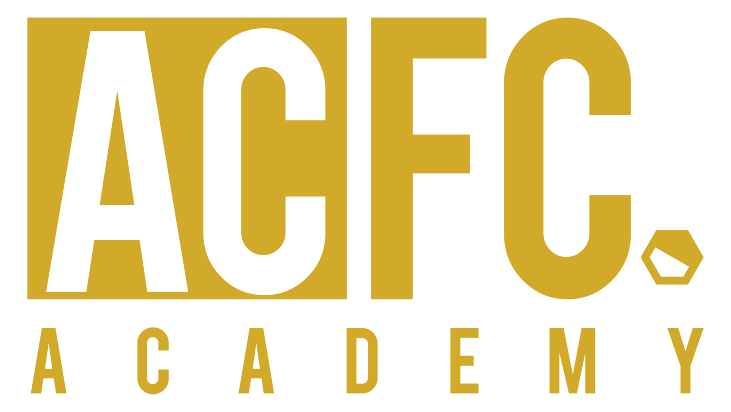 ACFC Academy