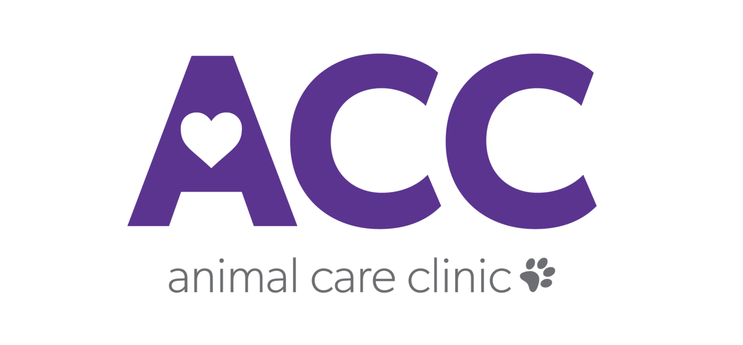 Veterinarian in Junction City | Animal Care Clinic
