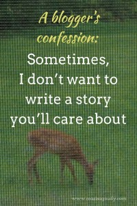 A blogger's confession: sometimes, I don’t want to write a story you’ll care about