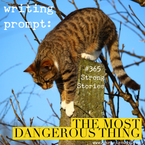 Writing Prompt : the most dangerous thing, #365StrongStories by Marisa Goudy