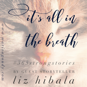 It's all in the breath, #365StrongStories by Guest Storyteller Liz Hibala 